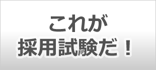 これが採用試験だ！